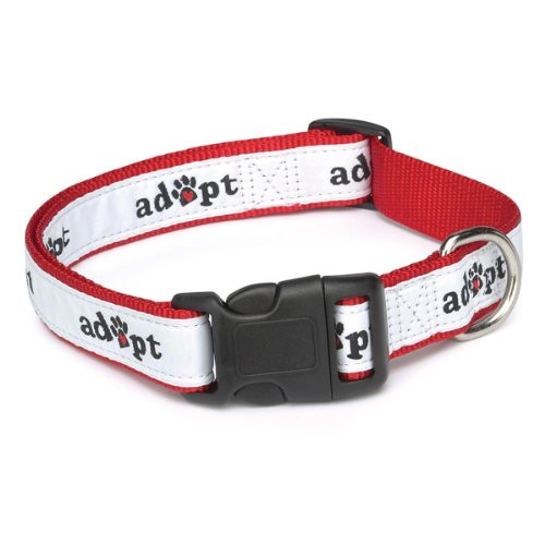 Casual Canine Nylon Adopt Dog Collar 14-20-Inch Red