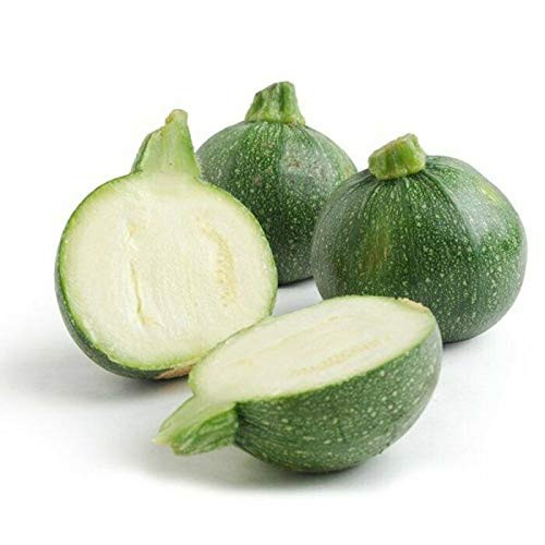 LGKO 25 Premium Gáden Fresh Round Zucchini Squash S-e-e-d-s-A