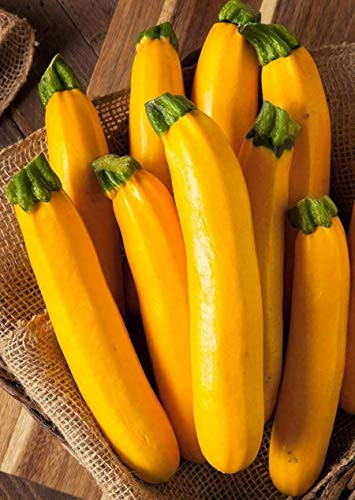 LGKO 25 Premium Gáden Fresh Golden Zucchini Squash S-e-e-d-A
