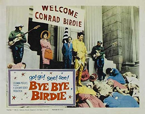 Bye Bye Birdie Poster Movie -11 x 14 Inches - 28cm x 36cm- -1963- -Style G-