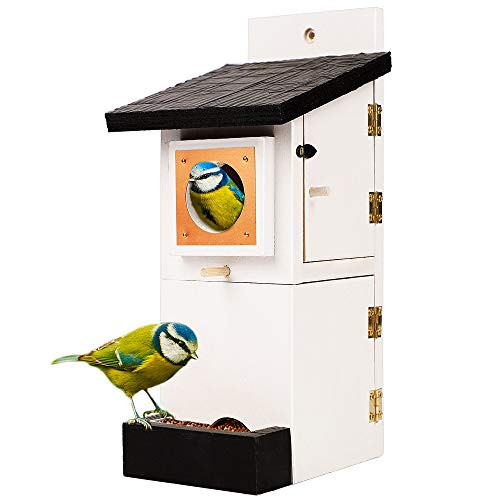 Zcaukya Wooden Bird House 9.8" x 5.1" x 4.3" Natural Wood Bird House  and  Feeder for Outside with Pole for Finch Wren Bluebird Cardinals
