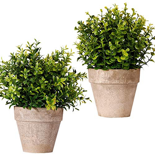 FagusHome Artificial Plants Potted 2 Pcs Potted Artificial Eucalyptus Plants Plastic 10 inch Tall Fake Greenery Faux Plants in Pots for Indoor Décor -B- FagusHome Artificial Plants Potted 2 Pcs Potted Artificial Eucalyptus Plants Plastic 10 inch Tall Fake Greenery Faux Plants in Pots for Indoor Décor -B-