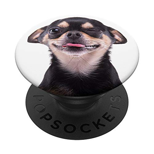 Chihuahua - The funniest dog PopSockets PopGrip- Swappable Grip for Phones and Tablets Chihuahua - The funniest dog PopSockets PopGrip- Swappable Grip for Phones and Tablets