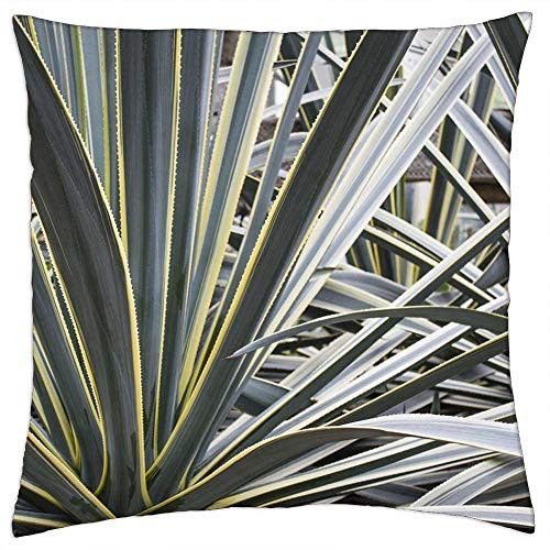 LESGAULEST Throw Pillow Cover -18x18 inch- - Cactus Succulent Plant Botanical Cacti Green LESGAULEST Throw Pillow Cover -18x18 inch- - Cactus Succulent Plant Botanical Cacti Green