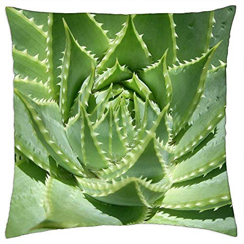 LESGAULEST Throw Pillow Cover -18x18 inch- - Foliage Cactus Plant Garden Flora Bloom Succulent LESGAULEST Throw Pillow Cover -18x18 inch- - Foliage Cactus Plant Garden Flora Bloom Succulent