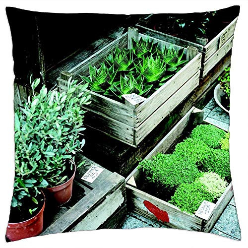 LESGAULEST Throw Pillow Cover -18x18 inch- - Flora Nursery Olive Plants Plants Pots Succulents