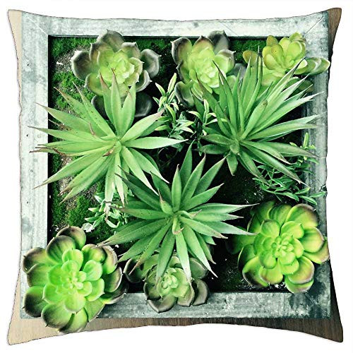 LESGAULEST Throw Pillow Cover -18x18 inch- - Plant Succulent Succulents