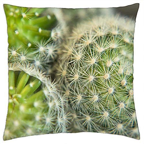 LESGAULEST Throw Pillow Cover -18x18 inch- - Cactus Plant Macro Green Nature Succulent Cacti LESGAULEST Throw Pillow Cover -18x18 inch- - Cactus Plant Macro Green Nature Succulent Cacti