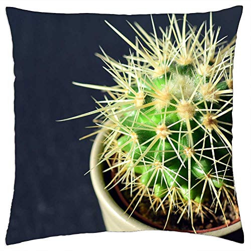 LESGAULEST Throw Pillow Cover -18x18 inch- - Cactus Spur Plant Thorns Prickly Close Flowerpot