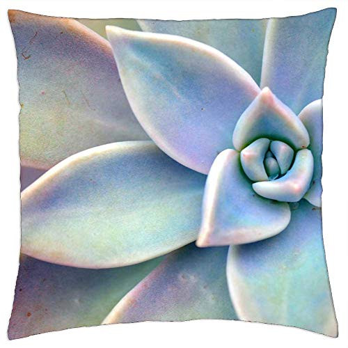 LESGAULEST Throw Pillow Cover -18x18 inch- - Succulent Plant Star Plant Green