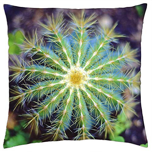 LESGAULEST Throw Pillow Cover -18x18 inch- - Cactus Plant Thorn Green Nature Pot LESGAULEST Throw Pillow Cover -18x18 inch- - Cactus Plant Thorn Green Nature Pot