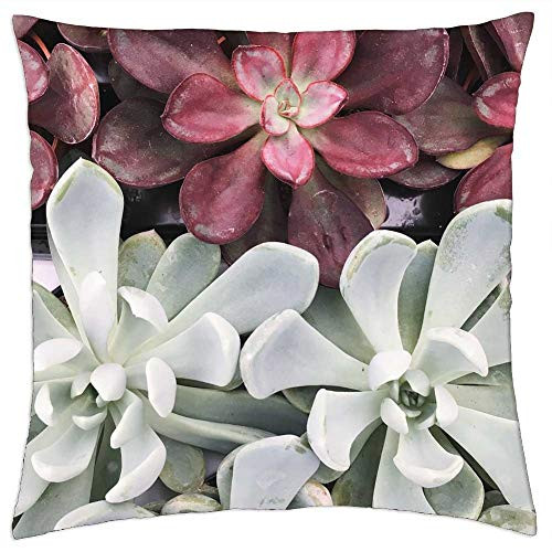 LESGAULEST Throw Pillow Cover -18x18 inch- - Succulent Plant Plants Succulents