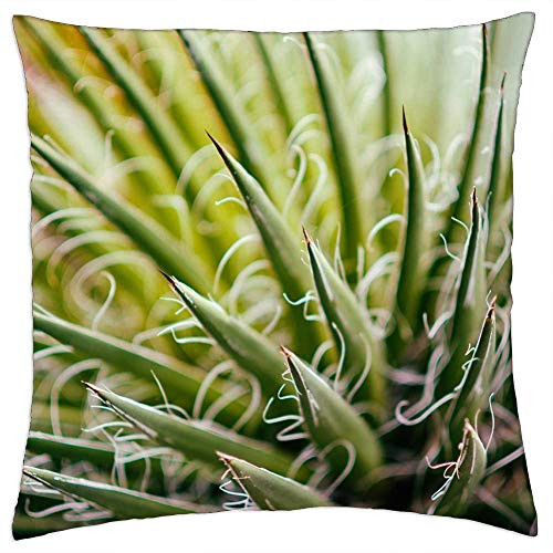 LESGAULEST Throw Pillow Cover -18x18 inch- - Succulent Plant Green Botanical Flora Gardening 1 LESGAULEST Throw Pillow Cover -18x18 inch- - Succulent Plant Green Botanical Flora Gardening 1
