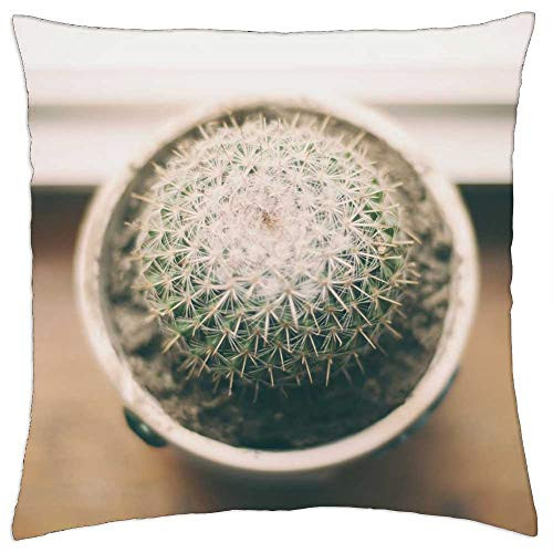 LESGAULEST Throw Pillow Cover -18x18 inch- - Potted Plant Cactus Desert Plant Spike Sharp LESGAULEST Throw Pillow Cover -18x18 inch- - Potted Plant Cactus Desert Plant Spike Sharp