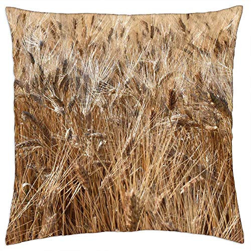 LESGAULEST Throw Pillow Cover -18x18 inch- - Grain Wheat Wheat Field Durum Wheat Cereals