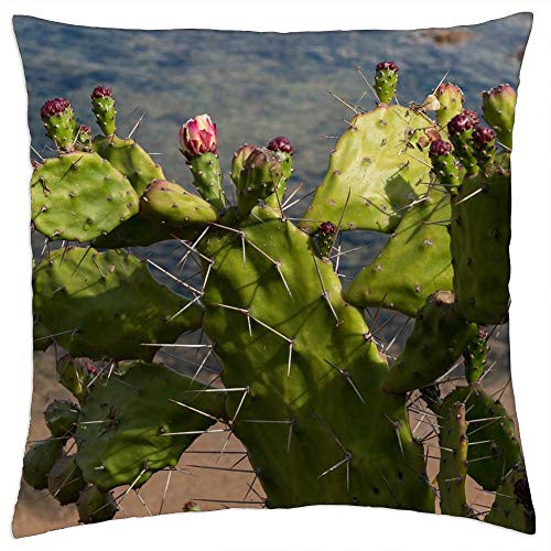 LESGAULEST Throw Pillow Cover -18x18 inch- - Prickly Pear Plant Succulent Plant Plug Thorns