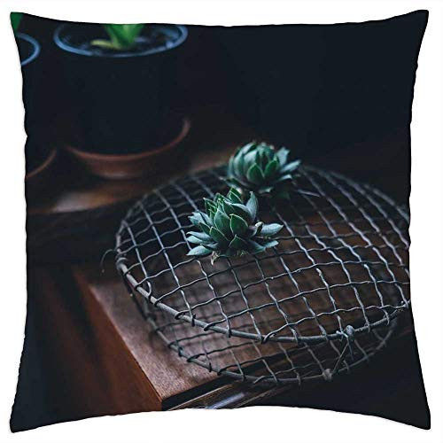 LESGAULEST Throw Pillow Cover -18x18 inch- - Succulent Plant Botanical Cacti Horticulture LESGAULEST Throw Pillow Cover -18x18 inch- - Succulent Plant Botanical Cacti Horticulture