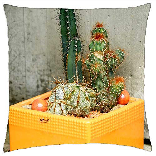 LESGAULEST Throw Pillow Cover -18x18 inch- - Cactus Plant Green Spur Potted Plant Succulents LESGAULEST Throw Pillow Cover -18x18 inch- - Cactus Plant Green Spur Potted Plant Succulents