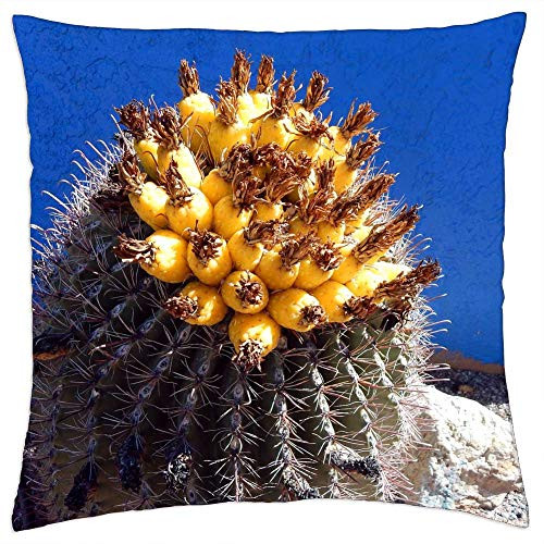 LESGAULEST Throw Pillow Cover -18x18 inch- - Cactus Desert Golden Barrel Cactus Succulent Plant LESGAULEST Throw Pillow Cover -18x18 inch- - Cactus Desert Golden Barrel Cactus Succulent Plant