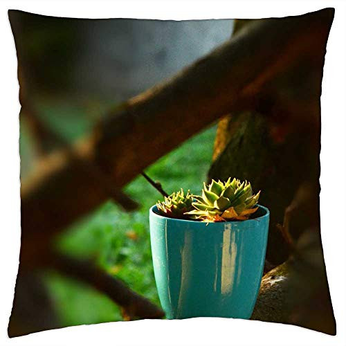 LESGAULEST Throw Pillow Cover -18x18 inch- - Cactus Succulent Nature Plant Garden Flower Flora LESGAULEST Throw Pillow Cover -18x18 inch- - Cactus Succulent Nature Plant Garden Flower Flora