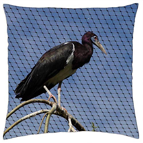 LESGAULEST Throw Pillow Cover -18x18 inch- - Bird Aviary Bird Aviary Cage Bird Cage Zoo Branch