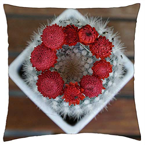 LESGAULEST Throw Pillow Cover -18x18 inch- - Cactus Succulent Plant Red Flourished Spring LESGAULEST Throw Pillow Cover -18x18 inch- - Cactus Succulent Plant Red Flourished Spring