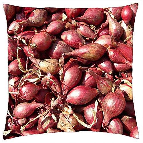 LESGAULEST Throw Pillow Cover -18x18 inch- - Red Shallots Shallot Noble Onion Onion Sharp LESGAULEST Throw Pillow Cover -18x18 inch- - Red Shallots Shallot Noble Onion Onion Sharp