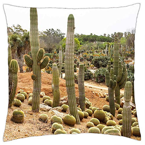 LESGAULEST Throw Pillow Cover -18x18 inch- - Cactus Garden Mallorca Botanical Garden Succulents LESGAULEST Throw Pillow Cover -18x18 inch- - Cactus Garden Mallorca Botanical Garden Succulents