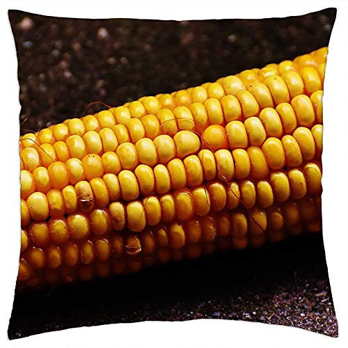 LESGAULEST Throw Pillow Cover -18x18 inch- - Corn Corn On The Cob Corn Kernels Vegetables Food 2 LESGAULEST Throw Pillow Cover -18x18 inch- - Corn Corn On The Cob Corn Kernels Vegetables Food 2