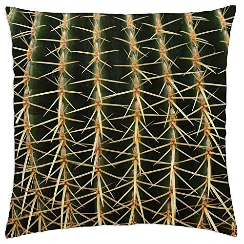 LESGAULEST Throw Pillow Cover -18x18 inch- - Cactus Plant Desert Spines Spiny Sharp Ouch