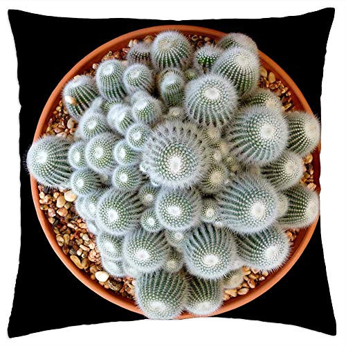 LESGAULEST Throw Pillow Cover -18x18 inch- - Cacti White Green Cactus Succulent Garden LESGAULEST Throw Pillow Cover -18x18 inch- - Cacti White Green Cactus Succulent Garden