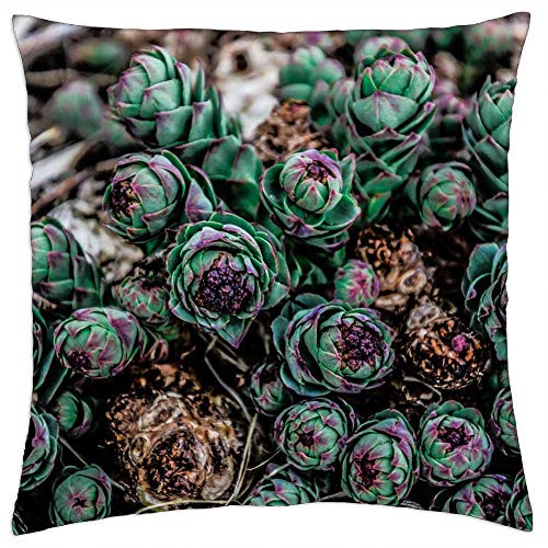 LESGAULEST Throw Pillow Cover -18x18 inch- - Succulent Plant Garden Green Cactus Nature LESGAULEST Throw Pillow Cover -18x18 inch- - Succulent Plant Garden Green Cactus Nature