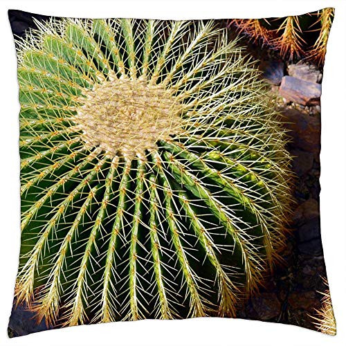 LESGAULEST Throw Pillow Cover -18x18 inch- - Cactus Spur Plant Cactus Greenhouse Prickly Close LESGAULEST Throw Pillow Cover -18x18 inch- - Cactus Spur Plant Cactus Greenhouse Prickly Close