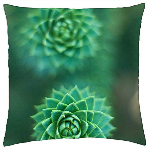 LESGAULEST Throw Pillow Cover -18x18 inch- - Succulent Green Plant Botany Garden LESGAULEST Throw Pillow Cover -18x18 inch- - Succulent Green Plant Botany Garden
