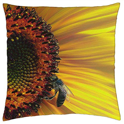LESGAULEST Throw Pillow Cover -18x18 inch- - Sunflower Interior Sunflower Flower Flowering LESGAULEST Throw Pillow Cover -18x18 inch- - Sunflower Interior Sunflower Flower Flowering