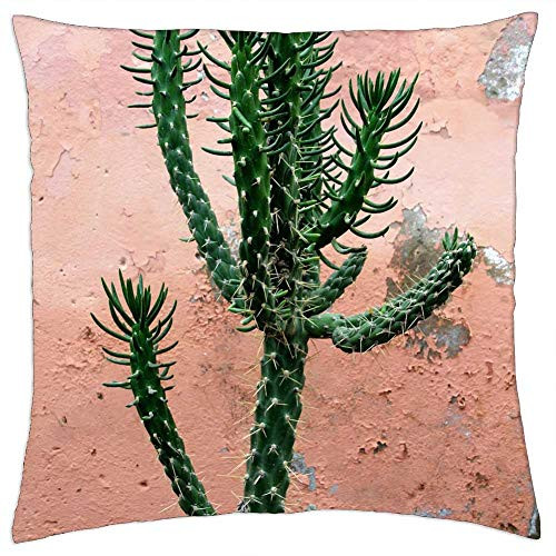 LESGAULEST Throw Pillow Cover -18x18 inch- - Cactus Plant Prickly Spur Green Potted Plant