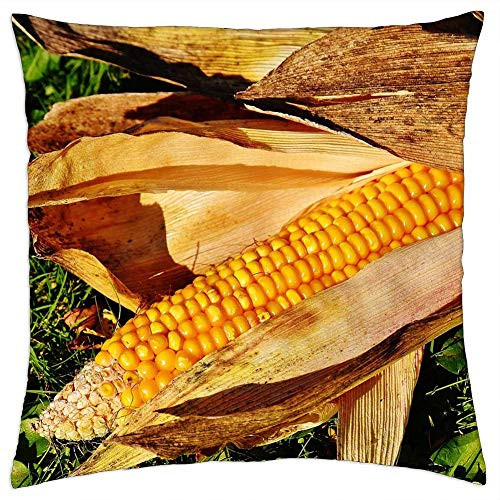 LESGAULEST Throw Pillow Cover -18x18 inch- - Corn Corn On The Cob Corn Kernels Vegetables Food 1 LESGAULEST Throw Pillow Cover -18x18 inch- - Corn Corn On The Cob Corn Kernels Vegetables Food 1