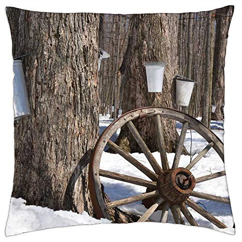 LESGAULEST Throw Pillow Cover -18x18 inch- - Maple Syrup Tree Maple Syrup Sap Sugar Spring