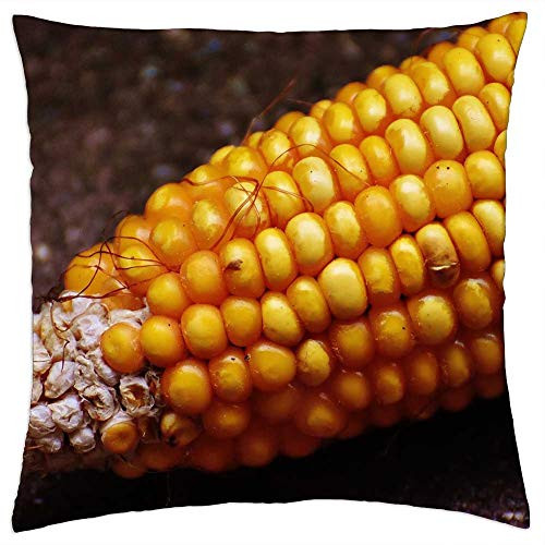 LESGAULEST Throw Pillow Cover -18x18 inch- - Corn Corn On The Cob Corn Kernels Vegetables Food LESGAULEST Throw Pillow Cover -18x18 inch- - Corn Corn On The Cob Corn Kernels Vegetables Food