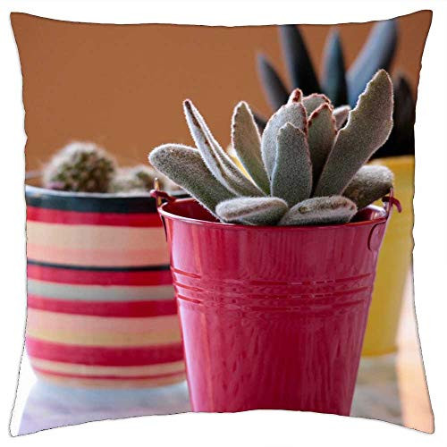 LESGAULEST Throw Pillow Cover -18x18 inch- - Plants Cactus Succulent Plant Spring Summer Garden LESGAULEST Throw Pillow Cover -18x18 inch- - Plants Cactus Succulent Plant Spring Summer Garden