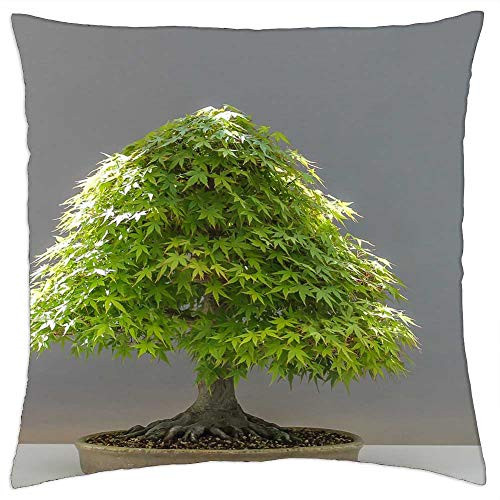 LESGAULEST Throw Pillow Cover -18x18 inch- - Bonsai Plant Japan Maple Culture Japan LESGAULEST Throw Pillow Cover -18x18 inch- - Bonsai Plant Japan Maple Culture Japan