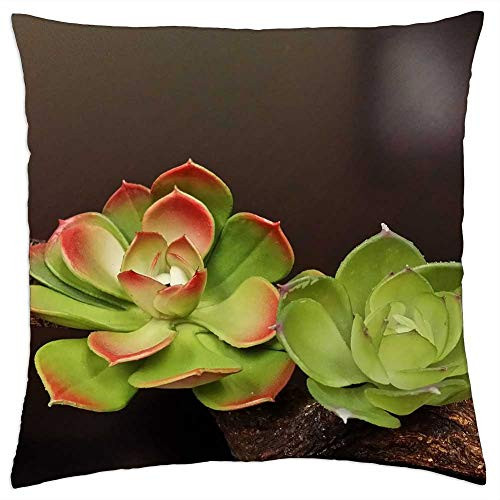 LESGAULEST Throw Pillow Cover -18x18 inch- - Flowers Succulent Desert Plant Green Cactus LESGAULEST Throw Pillow Cover -18x18 inch- - Flowers Succulent Desert Plant Green Cactus