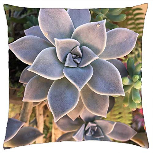 LESGAULEST Throw Pillow Cover -18x18 inch- - Plant Garden Succulents Nature Vegetation Green LESGAULEST Throw Pillow Cover -18x18 inch- - Plant Garden Succulents Nature Vegetation Green
