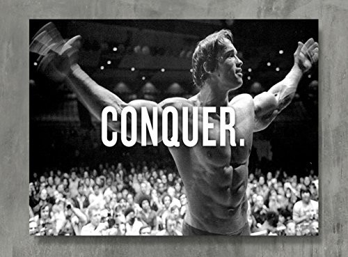APPLEpie Arnold Schwarzenegger Poster High Definition Posters Standard Size 24 x 18 inch