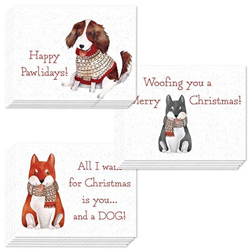 24 Christmas Greeting Cards Assorted 3 Designs Festive Furry Friends Holiday Wishes for Family  and  Office Coworkers Envelopes Included 24 Mix Boxed Assortment Variety Cards Great Value by Digibuddha