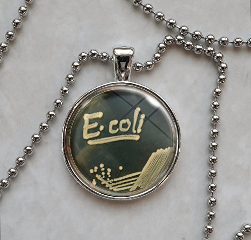 E. Coli Bacteria In Petri Dish Pendant Necklace