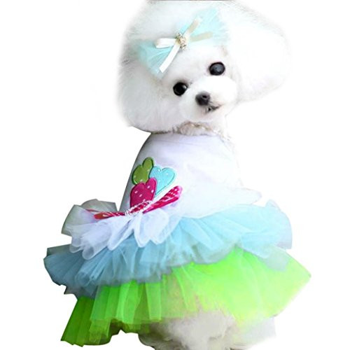 Howstar Pet Dress Puppy Lace Princess Tutu Dress Dog Cute Vest Bow Dress Soft Comfortable Outwear -L Blue- Howstar Pet Dress Puppy Lace Princess Tutu Dress Dog Cute Vest Bow Dress Soft Comfortable Outwear -L Blue-