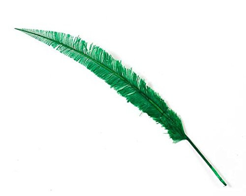Schuman Feathers 5pc Ostrich Feathers Nandu 18 inches and up Trimmed Ostrich Feathers for Wedding Millinery Crafting Head Dress per 5 Feathers -Emerald Green-