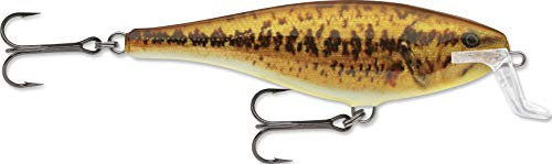 Rapala SSR14SBL Super Shad Rap Live Smallmouth Bass 14