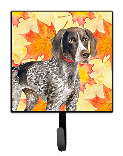 Caroline's Treasures German Shorthaired Pointer Fall Wall Hook Small Multicolor